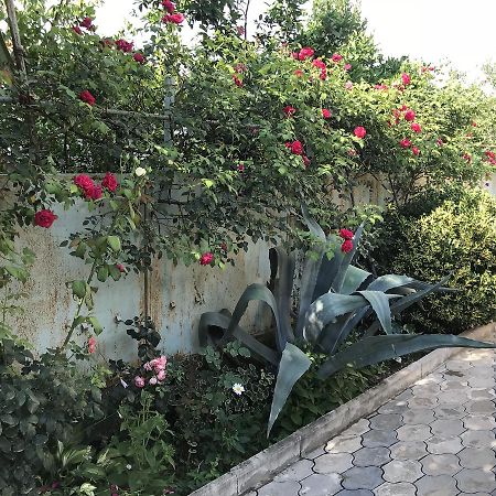 Bajo Guest House Kutaisi Exterior foto
